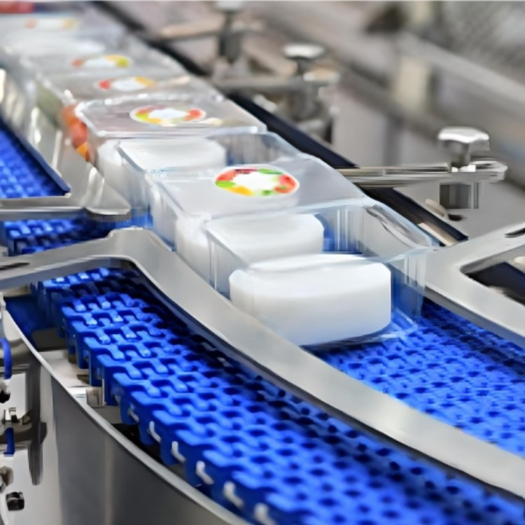 21-2 modular conveyor system